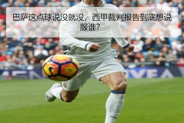 ba-sa-zhe-dian-qiu-shuo-mei-jiu-mei-xi-jia-cai-pan-bao-gao-dao-di-xiang-shuo-fu-shui-2-136.jpg
