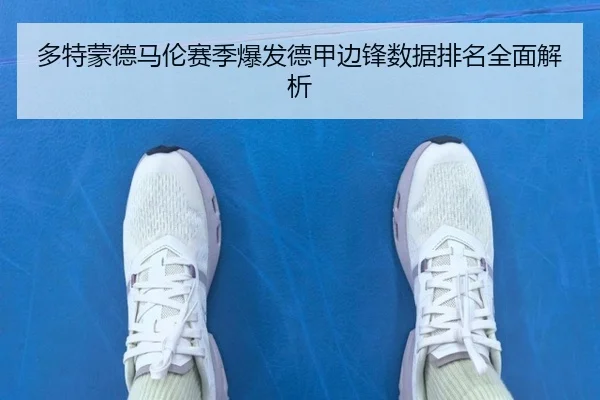 多特蒙德马伦赛季爆发德甲边锋数据排名全面解析